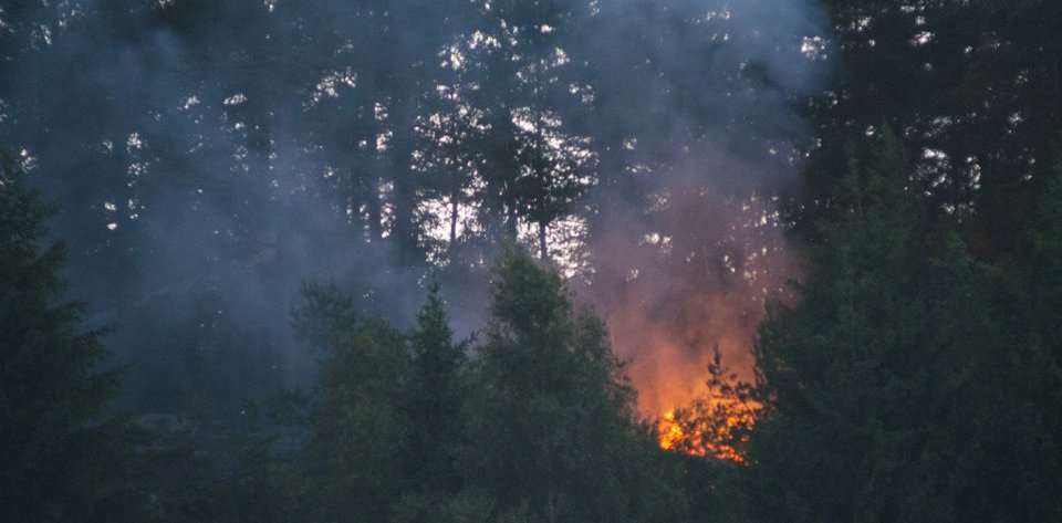 Brannvesenet i Skiptvet og Askim rykket ut til et skogholt i Nordre Liverudvei sent fredag kveld etter melding om røykutvikling. 